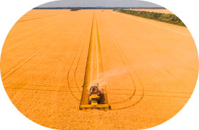 Colheitadeira no horizonte