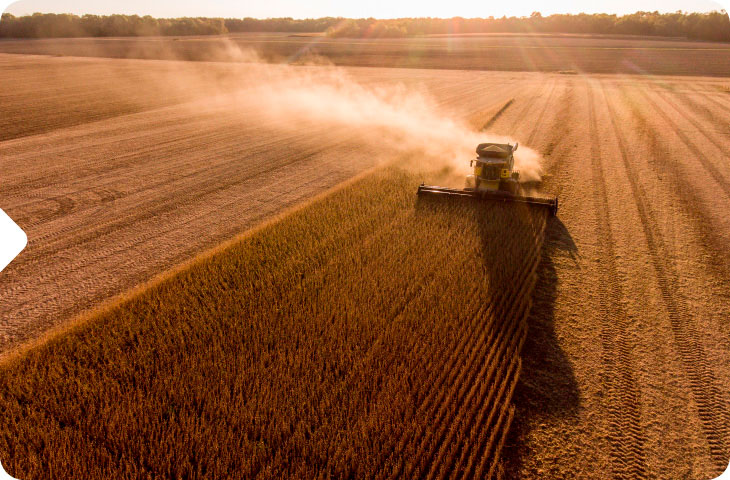 Colheitadeira em vasto campo