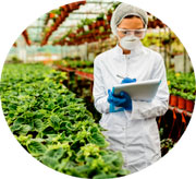 Colheitadeira no horizonte