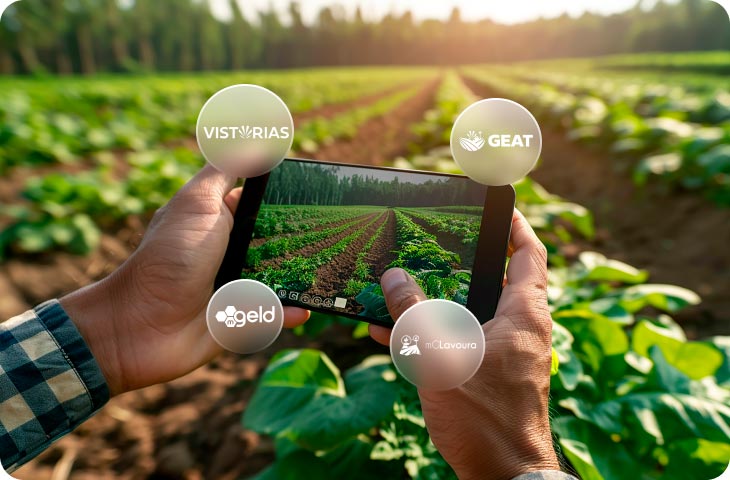 Duas mãos segurando um celular filmando uma plantação